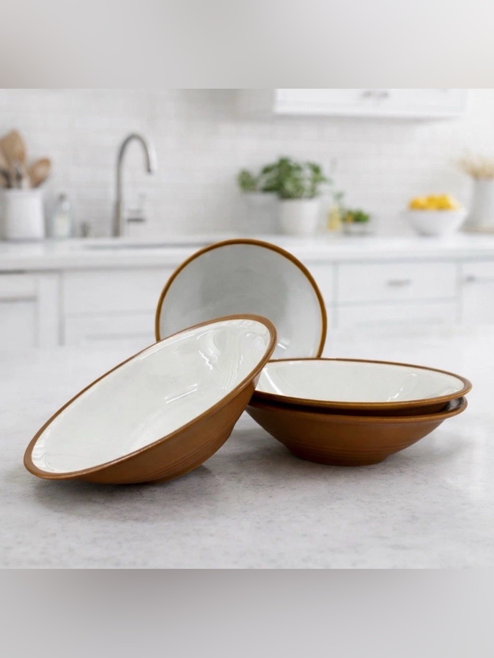 International Tableworks Terra Nova Set of 4 Coupe Soup Bowls 8 1/8” China